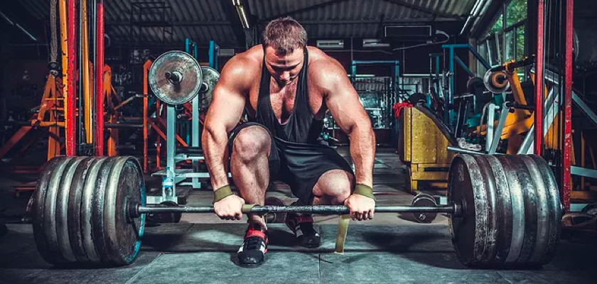 杠铃和哑铃（胸肌、背肌）